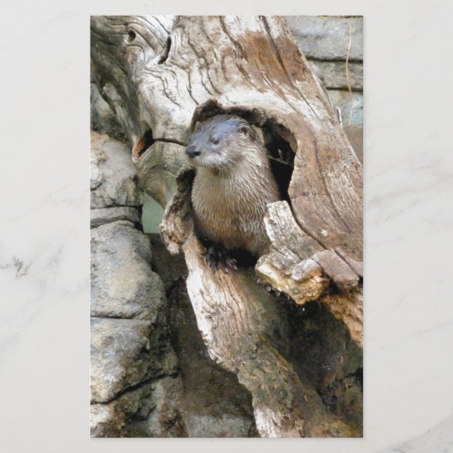 Harry Otter Brevpapper (Framsida)