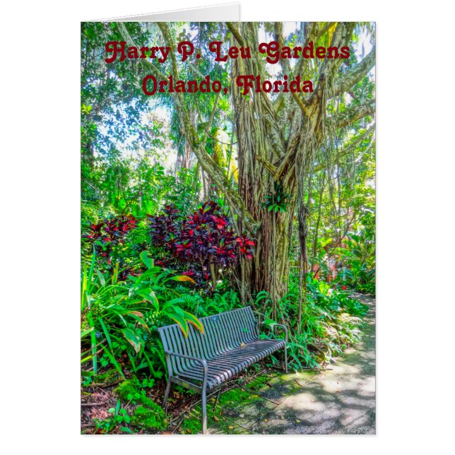 Harry P. Leu Botanical Gardens Orlando Florida OBS Kort (Framsidan)