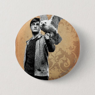 Harry Potter 12 Knapp