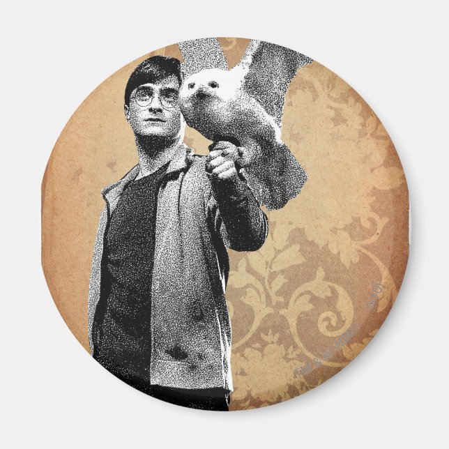 Harry Potter 12 Magnet (Framsidan)