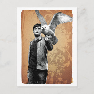 Harry Potter 12 Vykort