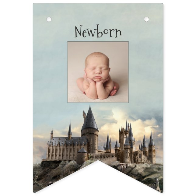 Harry Potter 1st Birthday 12 Month Photo Bunting F Vimplar (Andra flaggan)