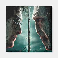 Harry Potter 7 Part 2 - Harry vs. Voldemort