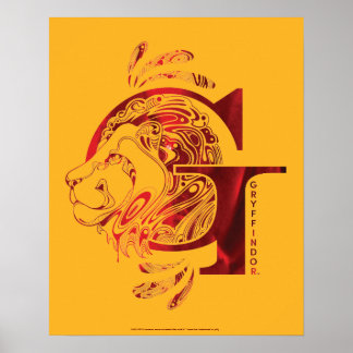 Harry Potter | Aguamenti GRYFFINDOR™ Grafik Poster