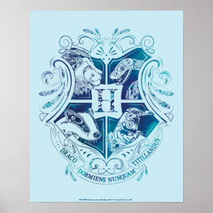 Harry Potter Aguamenti HOGWARTS™-vapen Poster