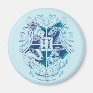 Harry Potter | Aguamenti HOGWARTS™ Vapensköld Magnet