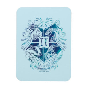 Harry Potter Aguamenti HOGWARTS™ Vapensköld Magnet