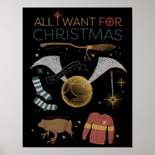 HARRY POTTER™ - allt jag vill ha i julklapp Poster