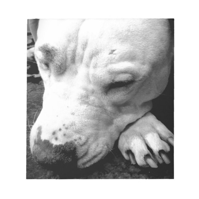 harry potter ärr hund vit pit bull anteckningsblock (Framsida)