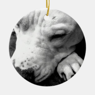 harry potter ärr hund vit pit bull julgransprydnad keramik