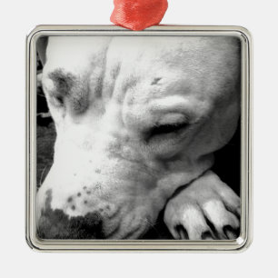 harry potter ärr hund vit pitbull julgransprydnad metall