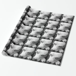 harry potter ärr hund vit pitbull presentpapper