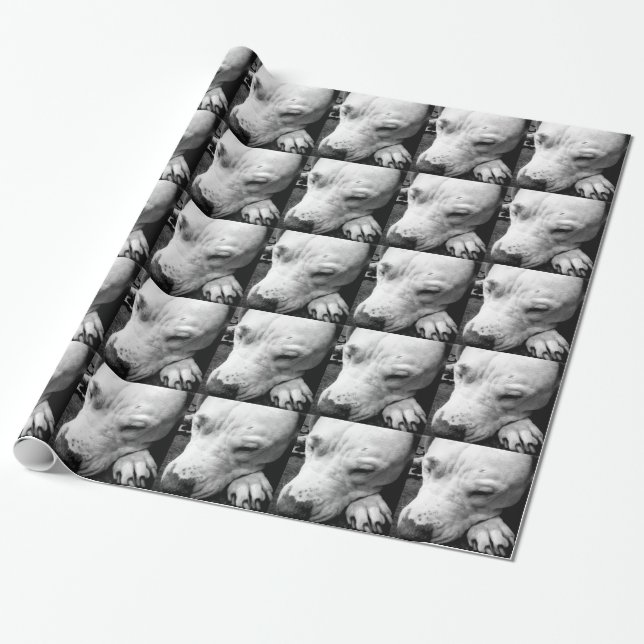 harry potter ärr hund vit pitbull presentpapper (Utrullad)
