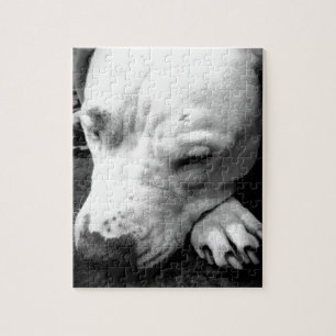 harry potter ärr hund vit pitbull pussel