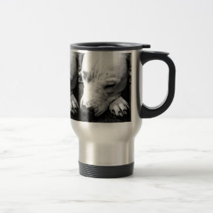 harry potter ärr hund vit pitbull resemugg