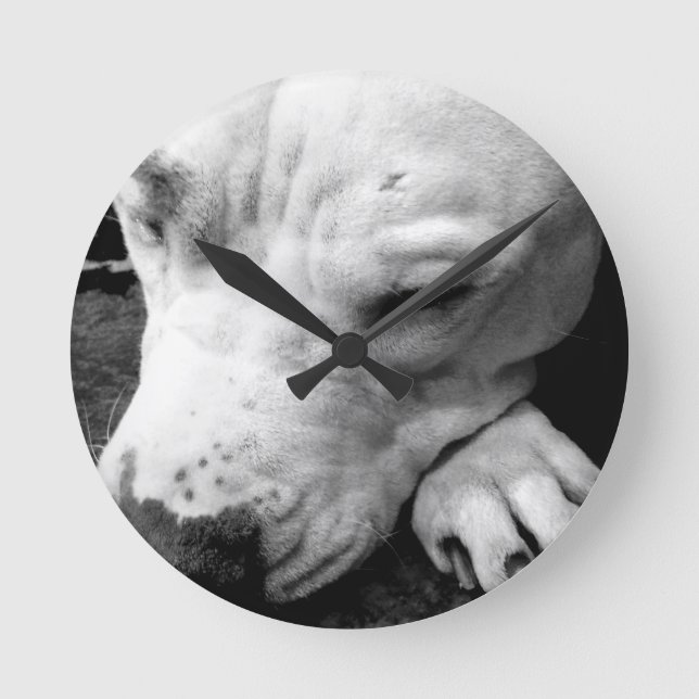 harry potter ärr hund vit pitbull rund klocka (Framsida)