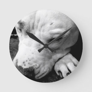 harry potter ärr hund vit pitbull rund klocka