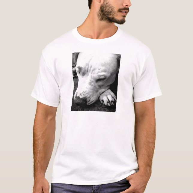 harry potter ärr hund vit pitbull t-shirt (Framsida)