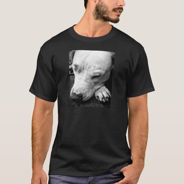 harry potter ärr hund vit pitbull tee shirt (Framsida)