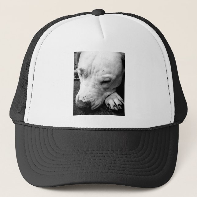 harry potter ärr hund vit pitbull truckerkeps (Framsida)