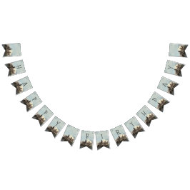 Harry Potter Birthday Vimplar