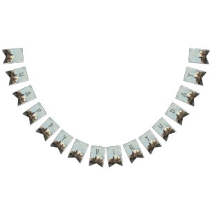 Harry Potter Birthday Vimplar