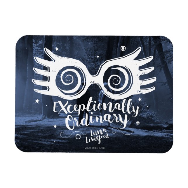 Harry Potter | Exceptionellt Vanlig Magnet (Horisontell)