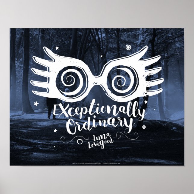 Harry Potter | Exceptionellt Vanlig Poster (Framsidan)