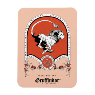 HARRY POTTER™   Fintvätt GRYFFINDOR™-Vapensköld Magnet