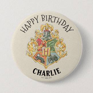 Harry Potter First Birthday Knapp