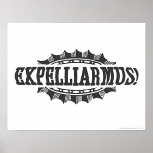 Harry Potter Förtrollning   Expelliarmus! Poster