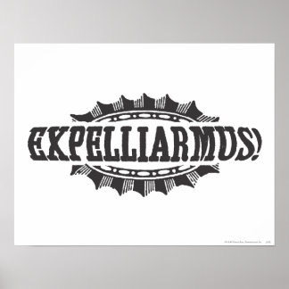 Harry Potter Förtrollning | Expelliarmus! Poster