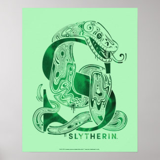 Harry Potter | grafiska Aguamenti SLYTHERIN™ Poster