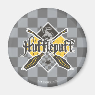 Harry Potter | Gryffindor QUIDDITCH™-vapen Magnet