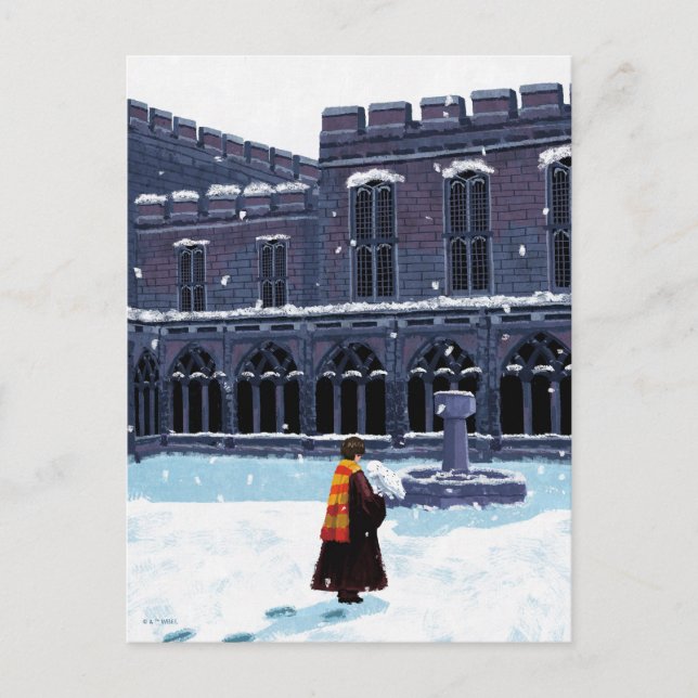 HARRY POTTER™ & Hedwig i HOGWARTS™ gård Vykort (Framsida)