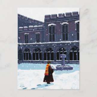 HARRY POTTER™ & Hedwig i HOGWARTS™ innergård Vykort