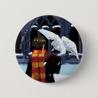 HARRY POTTER™ & Hedwig i Snö Knapp