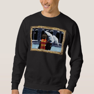 HARRY POTTER™ & Hedwig i Snö Lång Ärmad Tröja