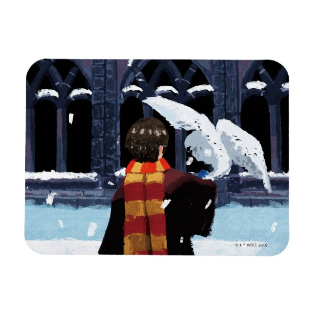 HARRY POTTER™ & Hedwig i Snö Magnet (Horisontell)