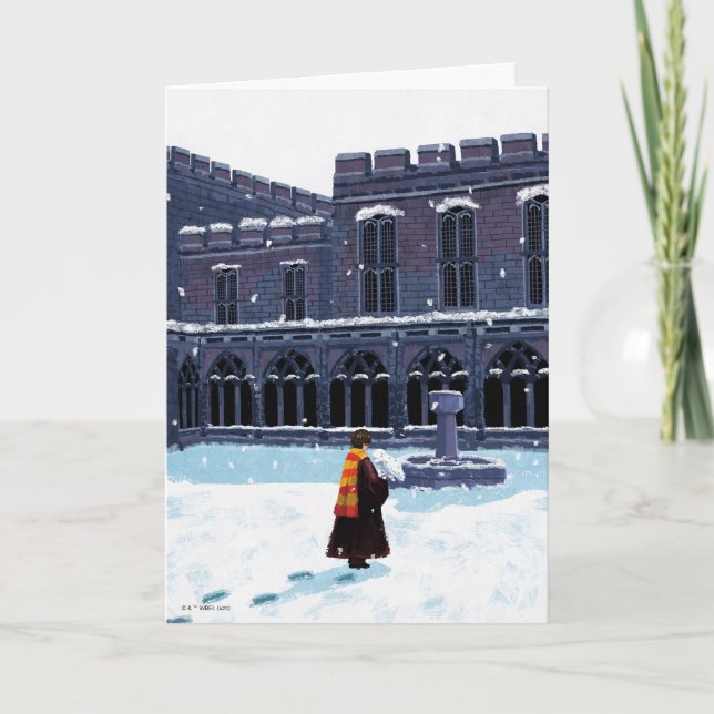 HARRY POTTER™ & Hedwig in HOGWARTS™ Courtyard Kort (Framsida)