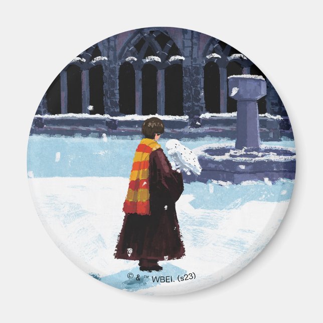 HARRY POTTER™ & Hedwig in HOGWARTS™ Courtyard Magnet (Framsidan)