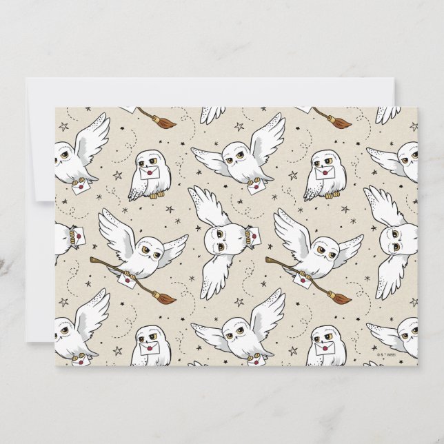Harry Potter | Hedwig Pattern (Framsida)
