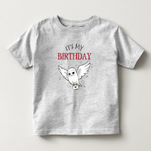 Harry Potter Hedwig Snabbleverans Födelsedagsprese T Shirt