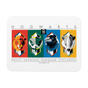 Harry Potter   HOGWARTS™ House-signaturer Magnet