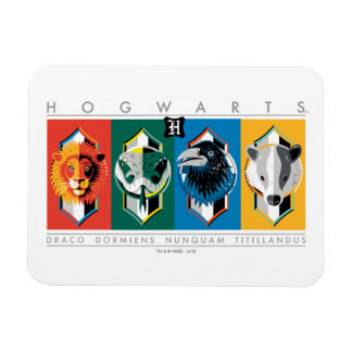 Harry Potter | HOGWARTS™ House-signaturer Magnet
