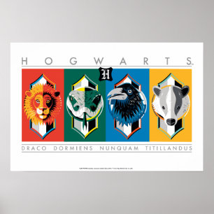 Harry Potter   HOGWARTS™ House-signaturer Poster