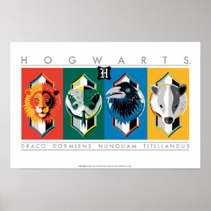 Harry Potter   HOGWARTS™ House-signaturer Poster