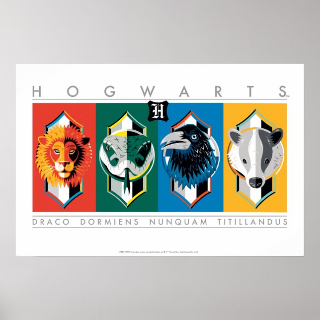 Harry Potter | HOGWARTS™ House-signaturer Poster (Framsidan)