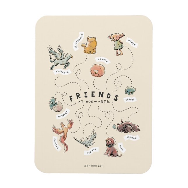 HARRY POTTER™ | Hogwarts vänner Magnet (Vertikal)