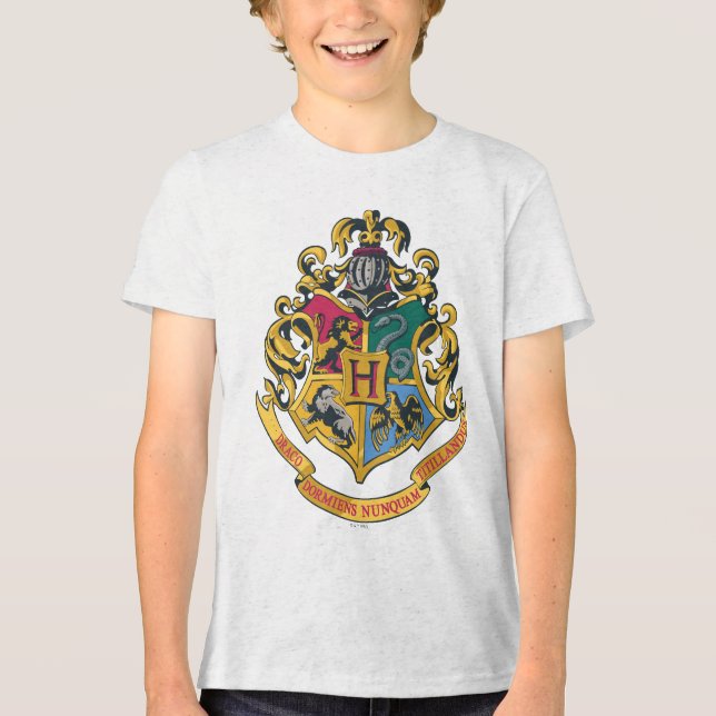 Harry Potter | Hogwarts vapensköld - full färg Tee Shirt (Framsida)